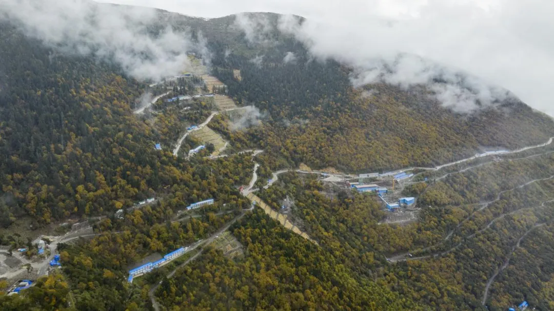 Z6·人生就是博(中国区)官方网站