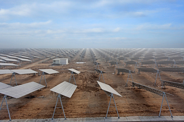 W020241119545505014291