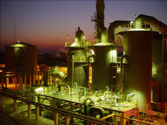 W020241119545510066393