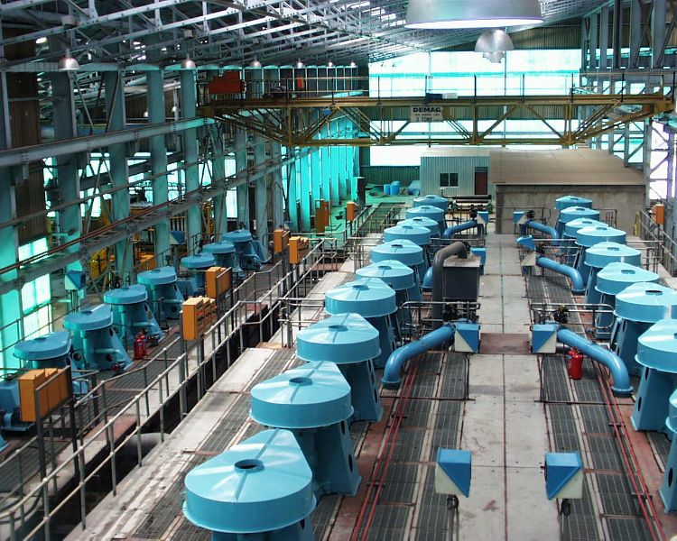 W020241119524346560058