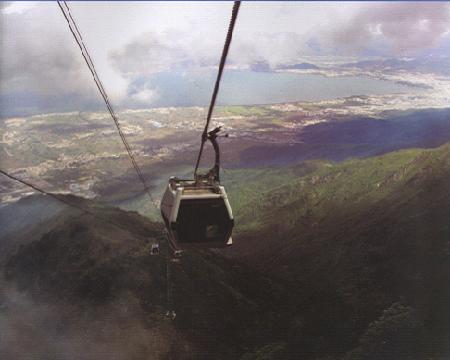 W020241119528347662465