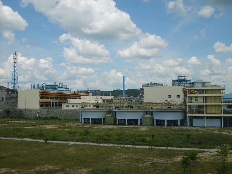 W020241119525556656380